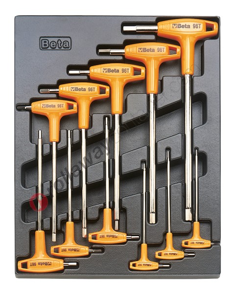 Werkzeugsatz Beta im Fester Thermoformateinsatz T50 mit 11 Werkzeuge